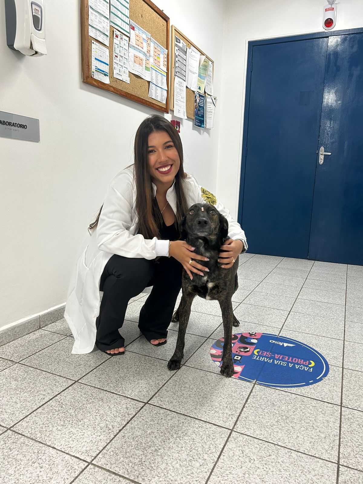 Telemedicina Veterinária Landing Image